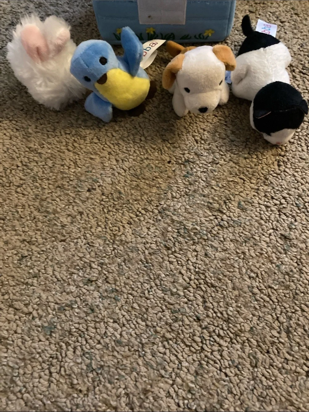My first pet with soft case to store in .